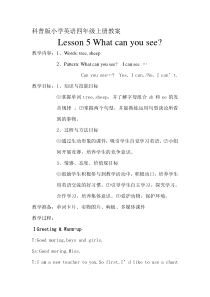 科普版英语四年级上册《Lesson 5 What can you see？》优质课教案4