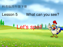 科普版英语四年级上册《Lesson 5 What can you see？》PPT课件2
