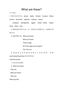 科普版英语四年级下册《Lesson 5 What are these？》公开课教案1