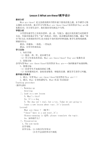科普版英语四年级下册《Lesson 5 What are these？》精品教案3