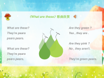 科普版英语四年级下册《Lesson 5 What are these？》公开课PPT课件4