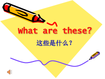 科普版英语四年级下册《Lesson 5 What are these？》精品PPT课件4