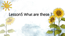 科普版英语四年级下册《Lesson 5 What are these？》PPT课件6