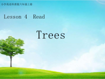 科普版英语六年级上册《Lesson 4 What kind of books will you buy？》精品PPT课件2