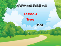 科普版英语六年级上册《Lesson 4 What kind of books will you buy？》集体备课PPT课件1