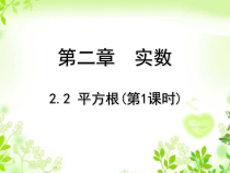 《算术平方根》PPT课件1-八年级上册数学北师大版