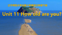 辽师大版英语三年级上册《Unit 11 How old are you？》PPT课件4