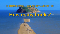 辽师大版英语三年级上册《Unit 12 How many books？》教学课件1