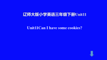 辽师大版三年级下册英语《Unit 11 Can I have some cookies？》精品PPT课件2