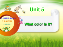 辽师大版英语三年级下册《Unit 5 What color is it？》精品PPT课件5