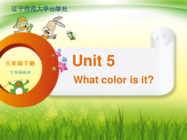 辽师大版英语三年级下册《Unit 5 What color is it？》公开课PPT课件5
