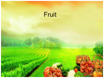 辽师大版英语三年级下册《Unit 10 Do you like grapes？》精品PPT课件3