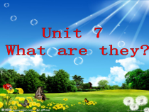 辽师大版英语四年级下册《Unit 7 What are they？》PPT课件3