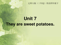 辽师大版英语四年级下册《Unit 8 They are sweet potatoes》精品PPT课件1