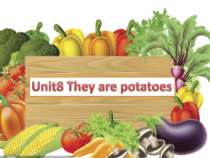 辽师大版英语四年级下册《Unit 8 They are sweet potatoes》精品PPT课件3