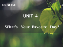 辽师大版英语五年级上册《Unit 4 What’s your favorite day？》教学PPT课件5