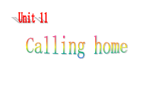 辽师大版英语五年级下册《Unit 11 Calling home》PPT课件5
