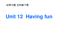 辽师大版英语五年级下册《Unit 12 Having fun》PPT教学课件2
