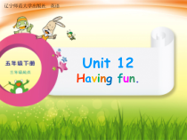 辽师大版英语五年级下册《Unit 12 Having fun》PPT教学课件4