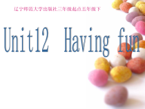 辽师大版英语五年级下册《Unit 12 Having fun》PPT教学课件3