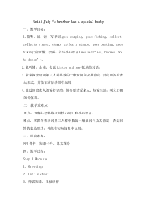 辽师大版英语六年级上册《Unit 4 Judy’s brother has a special hobby》教案