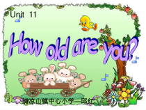 辽师大版英语三上《Unit 11 How old are you》PPT课件1