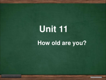 辽师大版英语三上《Unit 11 How old are you》PPT课件3