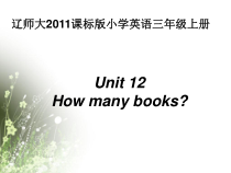 辽师大版英语三上《Unit 12 How many books》PPT课件3