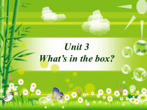 辽师大版英语三下《Unit 3 What’s in the box》PPT课件3