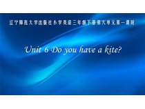 辽师大版英语三下《Unit 6 Do you have a kite》PPT课件4