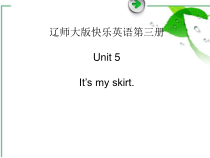 辽师大版英语四上《Unit 5 It’s my skirt》PPT课件3