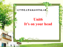 辽师大版英语四上《Unit 6 It’s on your head》PPT课件1