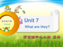 辽师大版英语四下《Unit 7 What are they》PPT课件2