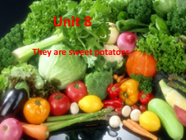 辽师大版英语四下《Unit 8 They are sweet potatoes》PPT课件7