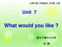 辽师大版英语五上《Unit 7 What would you lie》PPT课件5