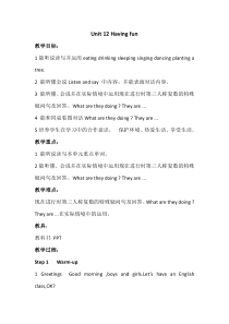 辽师大版英语五下《Unit 12 Having fun》教案4