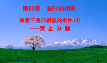 《黄金分割》PPT课件1-九年级上册数学北师大版
