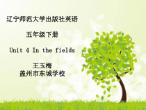 辽师大版英语五下《Unit 4 In the fields》PPT课件14