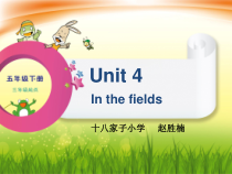 辽师大版英语五下《Unit 4 In the fields》PPT课件1