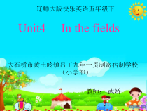 辽师大版英语五下《Unit 4 In the fields》PPT课件3