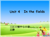 辽师大版英语五下《Unit 4 In the fields》PPT课件4