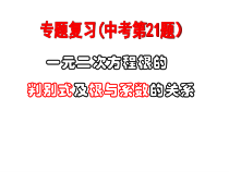《＊5 一元二次方程的根与系数的关系》PPT课件1-九年级上册数学北师大版