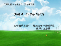 辽师大版英语五下《Unit 4 In the fields》PPT课件12