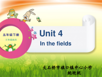 辽师大版英语五下《Unit 4 In the fields》PPT课件26