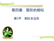 《3 相似多边形》PPT课件1-九年级上册数学北师大版