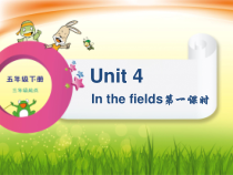 辽师大版英语五下《Unit 4 In the fields》PPT课件24