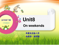 辽师大版英语五下《Unit 8 On weekends》PPT课件2