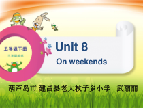 辽师大版英语五下《Unit 8 On weekends》PPT课件5