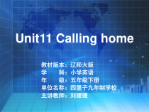 辽师大版英语五下《Unit 11 Calling home》PPT课件1