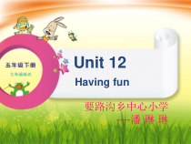 辽师大版英语五下《Unit 12 Having fun》PPT课件11
